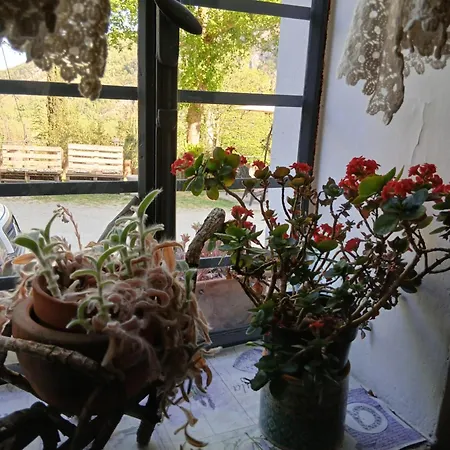 Borgori' Bed & Breakfast Borgo Rivola